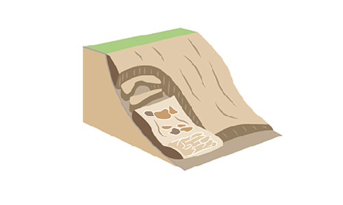 translational-landslides-infographic.png